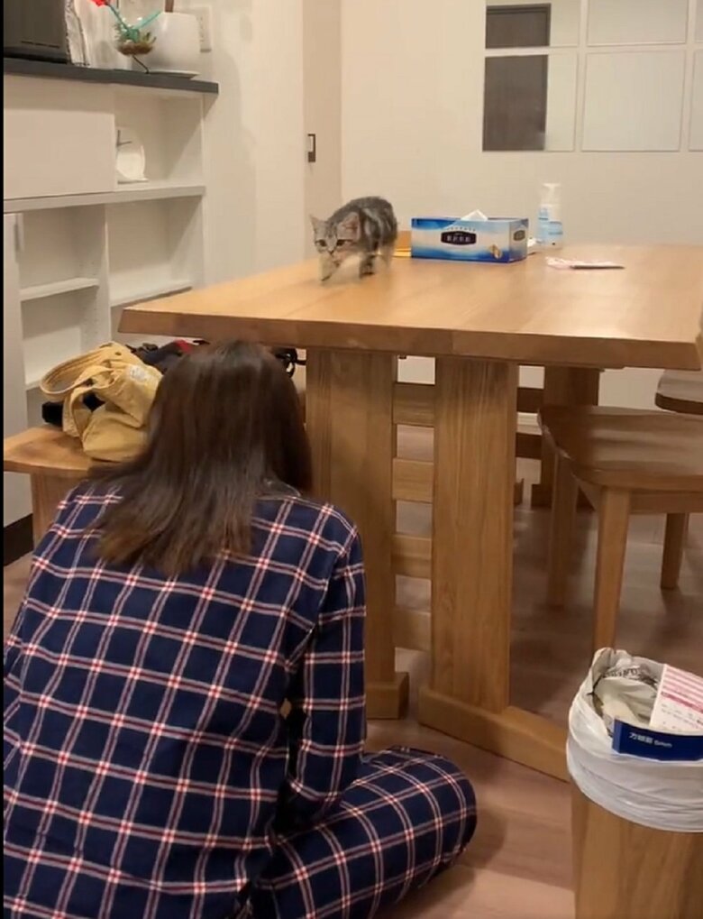 飼い主さんが隠れた瞬間にダッシュ！