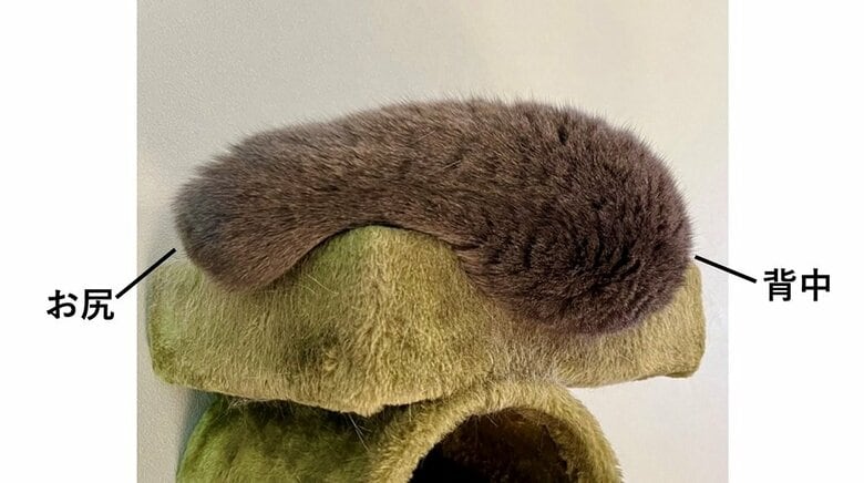 おそばちゃんは丸くなっている　壁側に顔がある