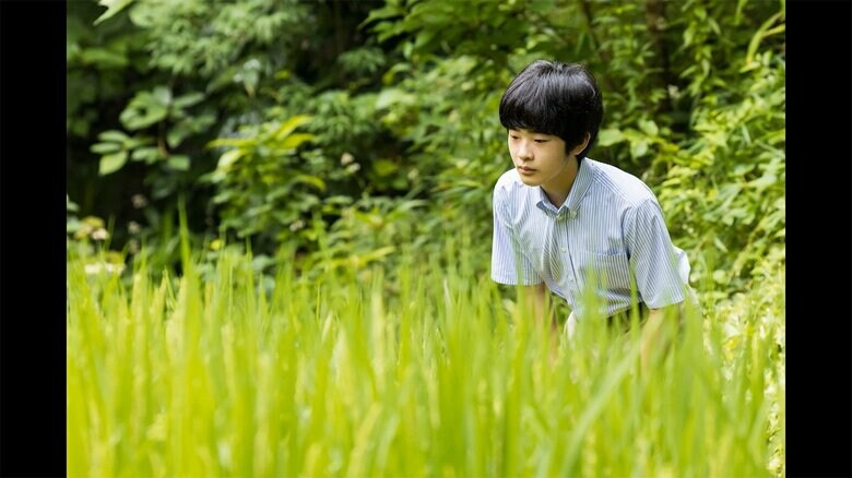 宮内庁提供･8月7日撮影
