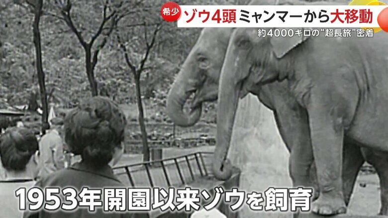 1953年の開園以来、途切れることなくゾウを飼育してきていた「福岡市動物園」