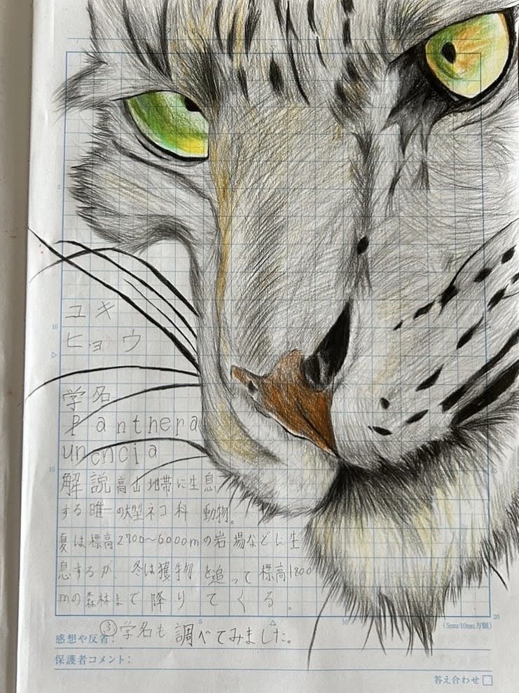 ユキヒョウ（前回の取材時以降の作品）