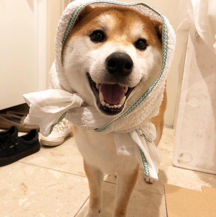 提供：torakichi602さん