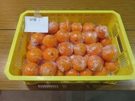 みかんの“共腐れ防止”に期待！柑橘包装用の新フィルムを愛媛県が共同開発…今後の展望を聞いた