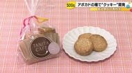 タニタカフェが協力…“アボカドの種”使ったクッキーを高校生が開発し商品化 完売し校外での販売も目指す