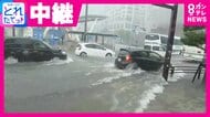 「1時間に100ミリ超の猛烈な雨」　名古屋市の様子を伝えたアナウンサー　街の変化は「わずか30分で道路が水に浸かる」