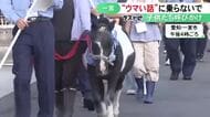 今年は既に16億円超…特殊詐欺の被害額が愛知県内ワーストの一宮市 “ウマい話”に注意するようポニーと共に呼びかけ