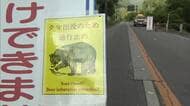 名勝・称名滝に通じる遊歩道を歩行中　80代男性、60代女性がクマに襲われケガ　富山・立山町