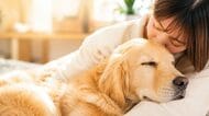ペットは犬？猫？何匹？みんなの“癒しの存在”を大調査！【1000人アンケート】
