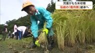 真庭市の神社で五穀豊穣などを願い約７００年続く「霜月祭」地元の児童７人がもち米収穫【岡山】
