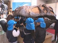 2026年に50周年迎える…岐阜県博物館で恐竜の骨格標本のすす払い 地元の園児も参加しティラノサウルスなど掃除
