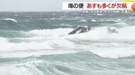 種子島で最大瞬間風速23.6m、種子島・屋久島・奄美航路に欠航相次ぐ　年末の移動に注意