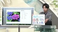 【エンドトーク】「梅雨入りへ、日曜・月曜まとまった雨」週末のポイント＆きょうの1枚　山形