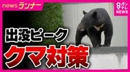 クマの出没ピークは10月「ことしはドングリが軒並み不作」で特に警戒を　人的被害に対策進む　京都の企業が開発した『防護服』は「かまれても貫通しない」　神戸でセンサーカメラ増設　