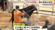 あきた総合家畜市場で子牛の初競り　228頭落札、平均価格は72万円　最高価格は100万円