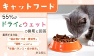 キャットフード、55％が「ドライとウェットの併用」と回答。重視するのは「猫の食いつき・嗜好性」「価格・コスパ」「栄養バランス・成分表示」が上位に