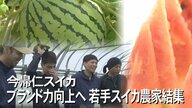 若手農家がサミット！冬でも生産できる強みを活かし日本一のスイカを目指す【沖縄発】