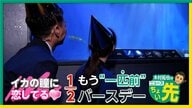 【中継】9m水槽楽しめる「えのすい」クラゲやアオリイカなど貴重な生物の展示も　木村アナも大興奮