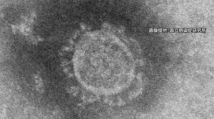 広島県で感染者2人を確認、京都の大学卒業生