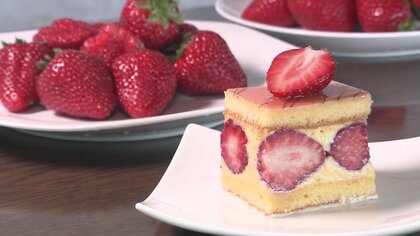 パティシエ絶賛の「完熟イチゴ」　甘く香りも抜群…おいしさ追求する農家が栽培に込める思い【宮崎発】