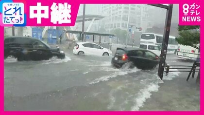 「1時間に100ミリ超の猛烈な雨」　名古屋市の様子を伝えたアナウンサー　街の変化は「わずか30分で道路が水に浸かる」