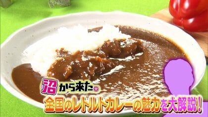 約1万食の味を知る“レトルトカレーマニア”おすすめ5つとおいしく食べる3つのポイント
