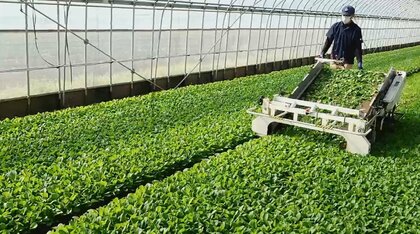 科学の力で10回が限界とされていた収穫を14回に…元建築士の社長が挑む「サイエンス農業」