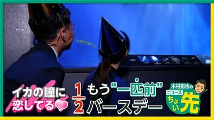 【中継】9m水槽楽しめる「えのすい」クラゲやアオリイカなど貴重な生物の展示も　木村アナも大興奮