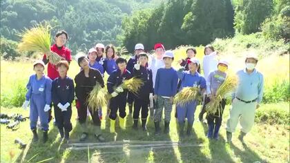 実りの秋…日本の棚田百選に選ばれている美咲町の棚田で地元の小学生が昔ながらの稲刈り体験【岡山】