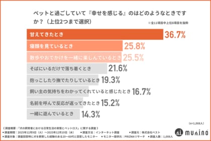 【犬との暮らしで人は何に幸せを感じるのか】飼い主1,008人が語る日常とペットロスの実態
