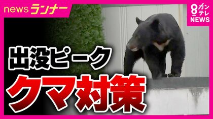 クマの出没ピークは10月「ことしはドングリが軒並み不作」で特に警戒を　人的被害に対策進む　京都の企業が開発した『防護服』は「かまれても貫通しない」　神戸でセンサーカメラ増設　