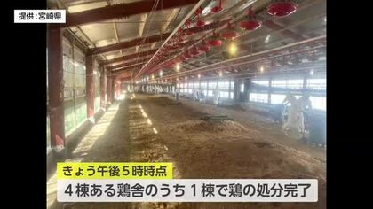 宮崎県内今シーズン初　日向市のブロイラー農場で高病原性鳥フル発生　22日中の鶏の処分完了目指す