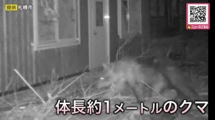 【札幌の円山動物園に出没したクマ】園内施設のエサを狙って侵入を繰り返した可能性“シマフクロウ用のホッケ”などがなくなる〈北海道〉