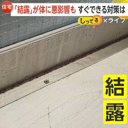 【解説】窓の結露でカビ繁殖…肺炎や気管支炎などアレルギー症状のリスク増大　対策は“換気”以外にも「食器用洗剤で溶かした水での窓拭き」なども有効