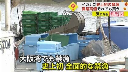 「春の年賀状」イカナゴ史上初の“全面禁漁”　記録的な不漁が続き去年の2倍の価格に　温暖化の影響か　兵庫・明石市