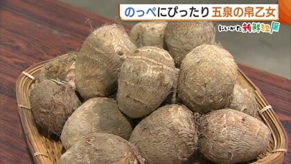 “のっぺ”にぴったり！しっとり滑らかなサトイモ『帛乙女』が旬迎える「丸み帯びてシマ模様が濃いものを」新潟