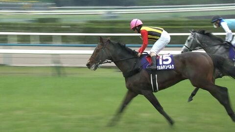 【天皇賞（春）・GⅠ】春の盾巡る戦いは歴史に残る大接戦に！クロワデュノール×北村友一騎手　最強を証明！