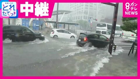 「1時間に100ミリ超の猛烈な雨」　名古屋市の様子を伝えたアナウンサー　街の変化は「わずか30分で道路が水に浸かる」