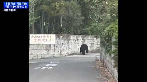 栃木・宇都宮市の中心部でクマ　驚いて逃げる人の様子がカメラに…中学校付近でも目撃　朝からパトロール再開へ
