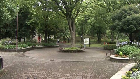 横浜・三ツ沢公園で「通り魔」　31歳男性が右脇刺されケガ　犯人逃走中