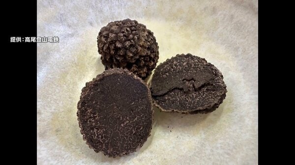 国産 山梨県産 天然黒トリュフ 特大 約110g イタリア産 フレッシュ黒