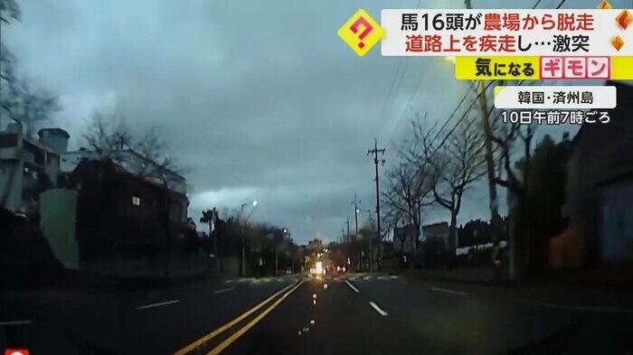 逃走現場の車内映像