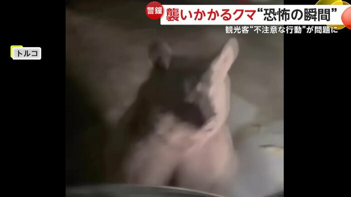 親グマが車に襲い掛かった瞬間(IHA)
