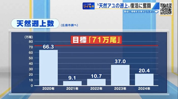 天然アユの遡上数(広島市調べ)