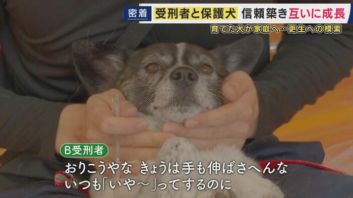 きこちゃん