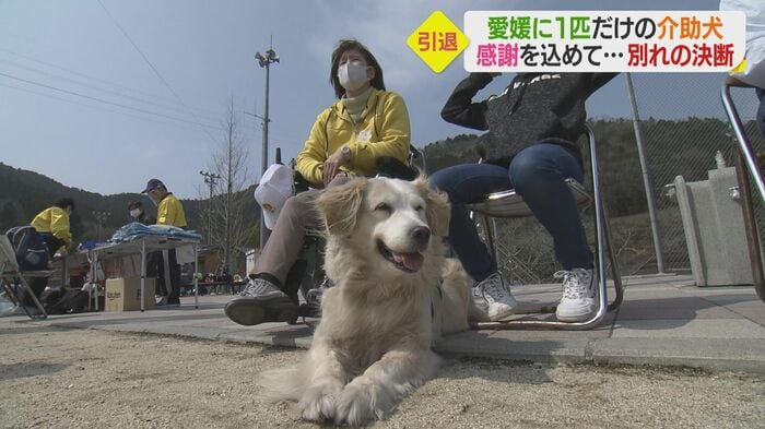 フライングディスク競技大会
