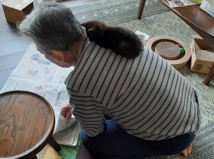 「親父が拾ってきたんだけど」保護当時のルルちゃん