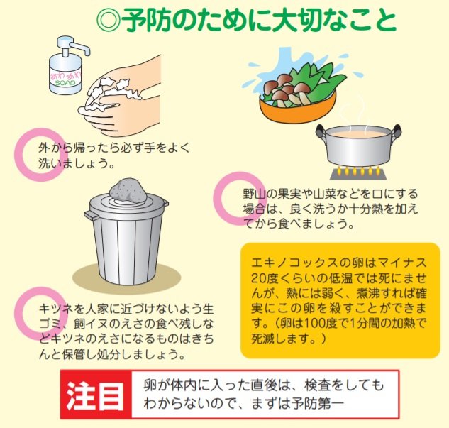 予防のために大切なこと(出典:北海道保健福祉部「エキノコックス症かからないためのQ&A」)