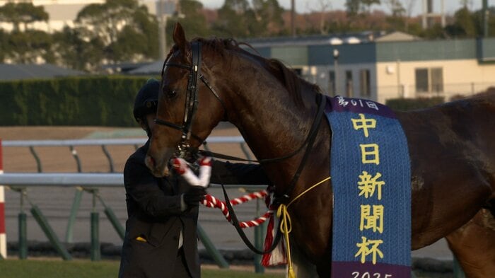 中日新聞杯を制したシェイクユアハート