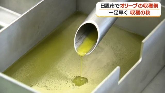搾油されたオリーブオイル