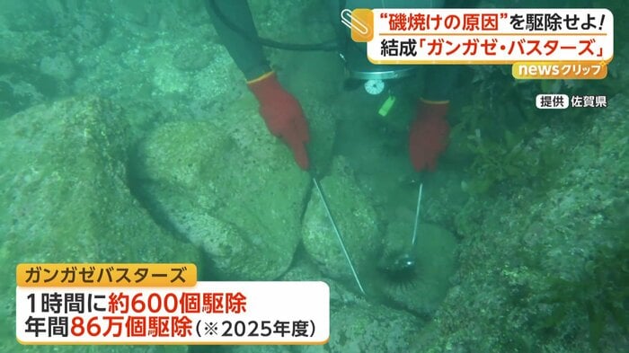 駆除する数は1時間に約600個